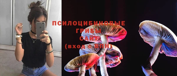 ГАЛЛЮЦИНОГЕННЫЕ ГРИБЫ Арсеньев