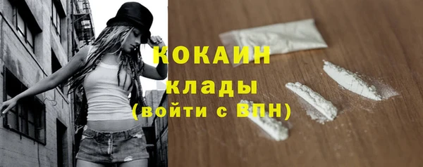 ГАЛЛЮЦИНОГЕННЫЕ ГРИБЫ Арсеньев