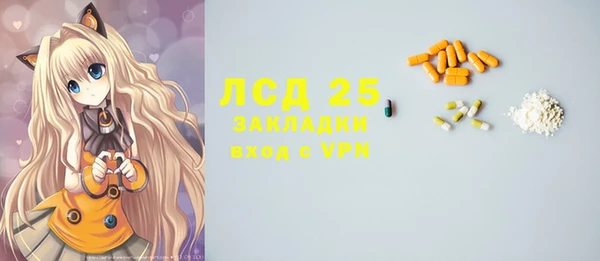 ГАЛЛЮЦИНОГЕННЫЕ ГРИБЫ Арсеньев