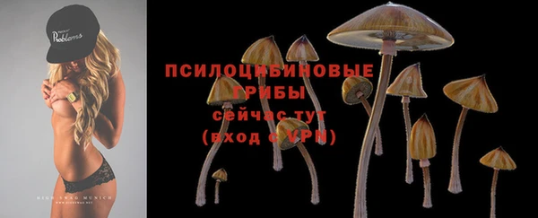 ECSTASY Аркадак