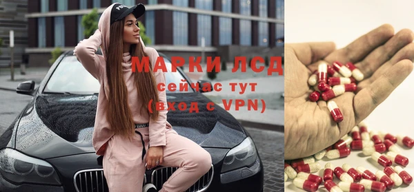 ГАЛЛЮЦИНОГЕННЫЕ ГРИБЫ Арсеньев