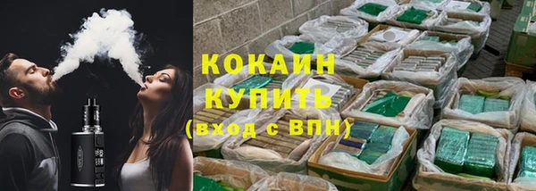 ГАЛЛЮЦИНОГЕННЫЕ ГРИБЫ Арсеньев