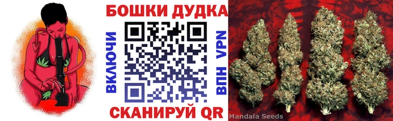 купить наркотики цена  МЕГА ссылки  Шишки марихуана гибрид  Вятские Поляны 